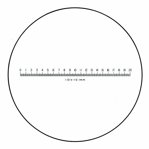 BAUSCH & LOMB MEASURING SCALE METRIC, 20MM IN