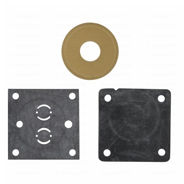 PACE 6993-0260 KIT - PUMP REBUILD
