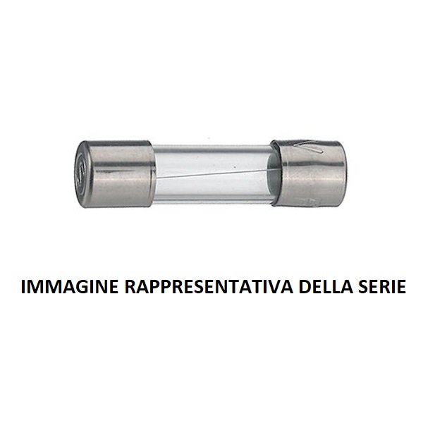 FUSIBILE (FUSE) 1.25 A, 230 V, LAG TIME 5 PZ