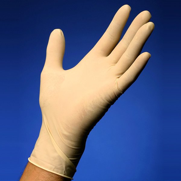 GUANTI IN LATTICE LUNGHEZZA 9.5" PER CLEANROOM