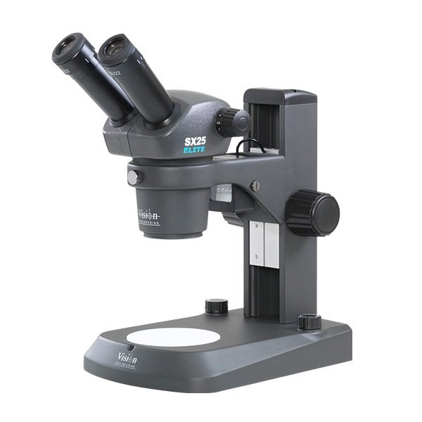 VISION SX25 ELITE - TESTA BINOCULARE, STATIVO DA